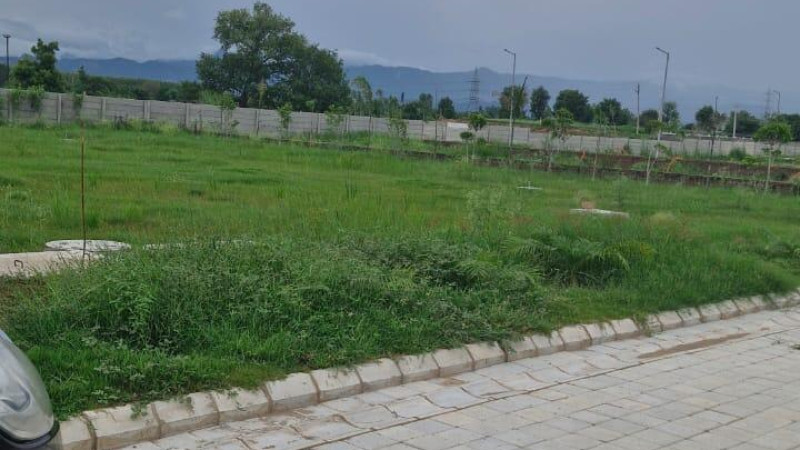 Sector 3 DLF Valley Panchkula